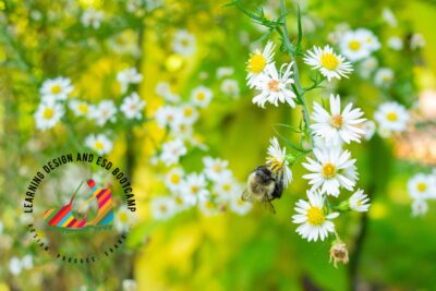 Flowers and bee