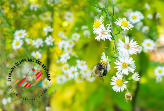 Flowers and bee