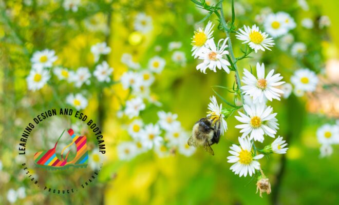 Flowers and bee