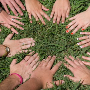 Competencias ecológicas y aprendizaje sostenible: un camino de colaboración