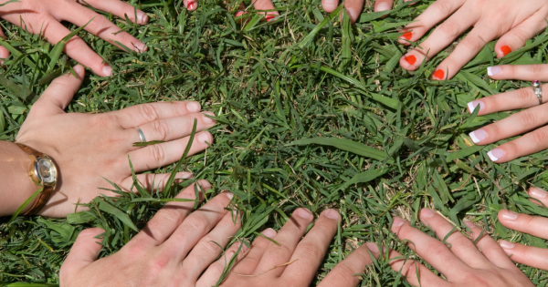 Competencias ecológicas y aprendizaje sostenible: un camino de colaboración